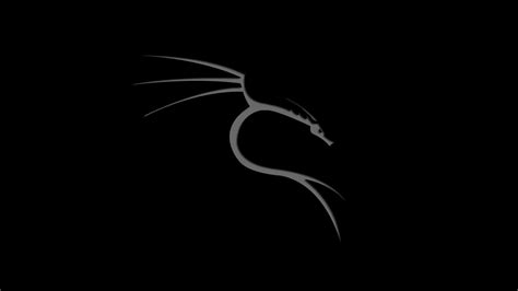 Download Cracked Kali Linux